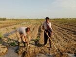بایدونبایدهای حقوق شهروندان کشاورز