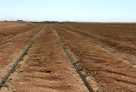 سیستم نوین آبیاری قطره‌ای در مزارع دهلران اجرا شد