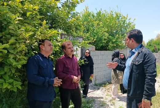 کشت ارقام اقتصادی انگور در کهگیلویه و بویراحمد با هدف افزایش راندمان تولید