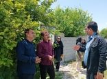 کشت ارقام اقتصادی انگور در کهگیلویه و بویراحمد با هدف افزایش راندمان تولید