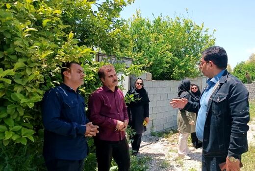 کشت ارقام اقتصادی انگور در کهگیلویه و بویراحمد با هدف افزایش راندمان تولید