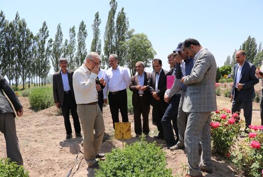 سفر دکتر خاوازی معاون وزیر جهاد کشاورزی و رئیس سازمان تحقیقات، آموزش و ترویج کشاورزی به استان اردبیل