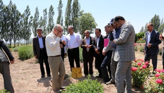 سفر دکتر خاوازی معاون وزیر جهاد کشاورزی و رئیس سازمان تحقیقات، آموزش و ترویج کشاورزی به استان اردبیل