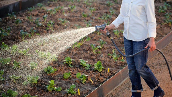 تکمیل طرح‌های نیمه تمام آب و خاک اولویت دولت سیزدهم