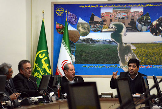 ضرورت افزایش سطح زیرکشت کلزا