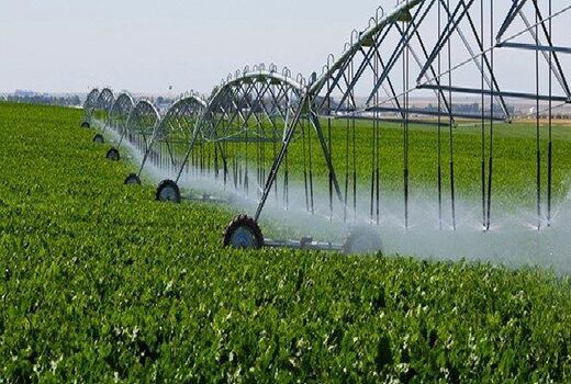 تجهیز 57درصد اراضی کشاورزی چهارمحال وبختیاری به سیستم های نوین آبیاری