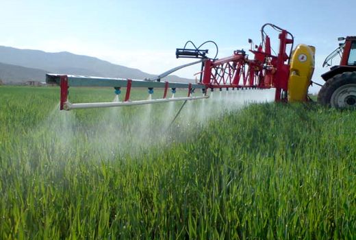 عملیات مبارزه با علف‌های هرز در 33 هزار و 850 هکتار از اراضی چهارمحال و بختیاری