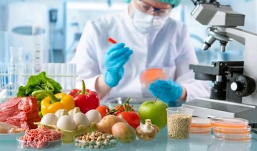 استفاده از آنزیم‌ها برای حفاظت از محیط‌زیست و تحقق اقتصاد چرخشی