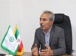 فدراسیون بذر و نهال حامی و تسهیل‌کننده امور تشکل‌ها است