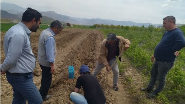 احداث اولین باغ سازگار در شهرستان ورزقان