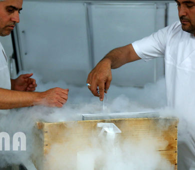  مرکز تولید مواد ژنتیکی گاوهای شیری و گوشتی ایران 