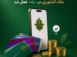 «کارت‌به‌کارت» برای مشتریان «بانک کشاورزی» در «بله» راه اندازی شد