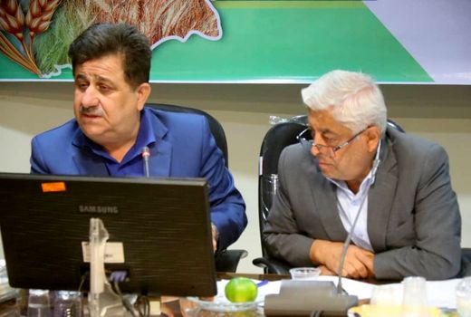  طرح ملی گندم بنیان مهمترین طرح در استان خوزستان است