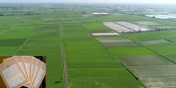 صدور ۴۸۲ فقره سند مالکیت برای اراضی کشاورزی شهرستان اسکو در نیمه نخست سال ۱۴۰۴