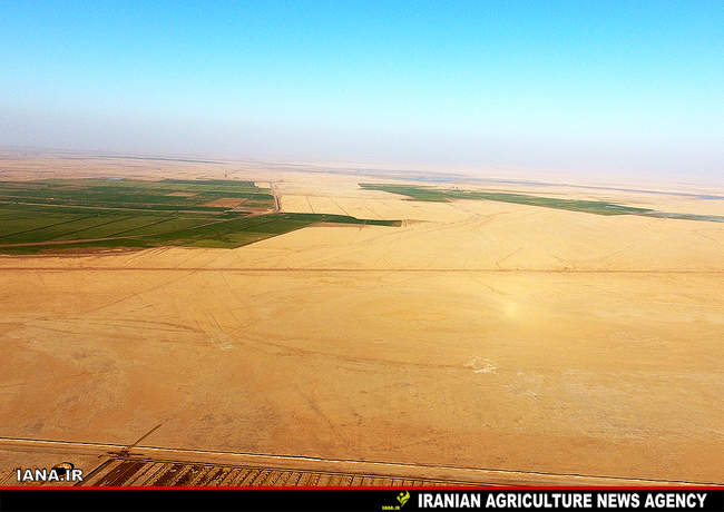بیابان‌زایی