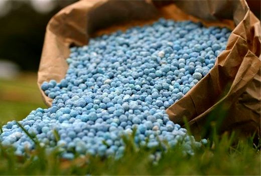 آمادگی صنایع مس برای تأمین کود فسفاته مورد نیاز کشاورزان/هماهنگی برای ساماندهی موضوع ثبت سفارش نهاده‌های دامی