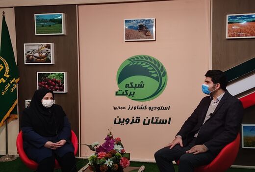 بررسی 