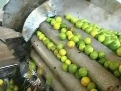 صدور 230 فقره جواز تأسیس و پروانه بهره‌برداری در بخش صنایع تبدیلی و تکمیلی قم