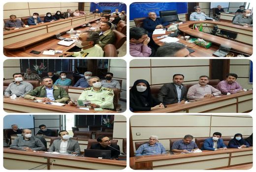 خدمات هوشمند کشاورزی بر پایه سنجش از راه دور در قزوین بررسی شد