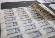 قانون افزایش بهره‌وری به تقویت صندوق‌های غیردولتی و توسعه بخش کشاورزی کمک می‌کند
