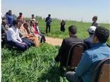 اجرای کاروان ترویج الگوی کشت محصولات زراعی در کردستان 
