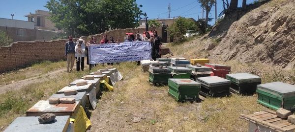 گسترش مهارت‌های کارآفرینی زنان روستایی شهرستان آبیک با آموزش زنبورداری