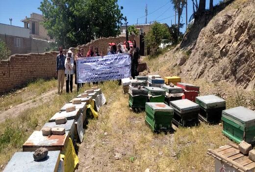 گسترش مهارت‌های کارآفرینی زنان روستایی شهرستان آبیک با آموزش زنبورداری