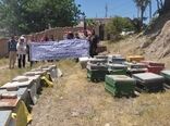 گسترش مهارت‌های کارآفرینی زنان روستایی شهرستان آبیک با آموزش زنبورداری