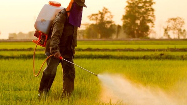 16 شرکت از 17 شرکت ثبت‌شده سم در ایران؛ همچنان در فهرست تحریم/ قوانین واردات سموم، به سود فرصت‌طلبی چینی‌ها