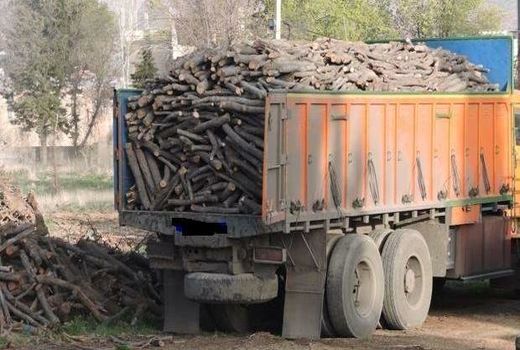 رشد 23 درصدی کشفیات قاچاق چوب و ذغال در چهارمحال و بختیاری 