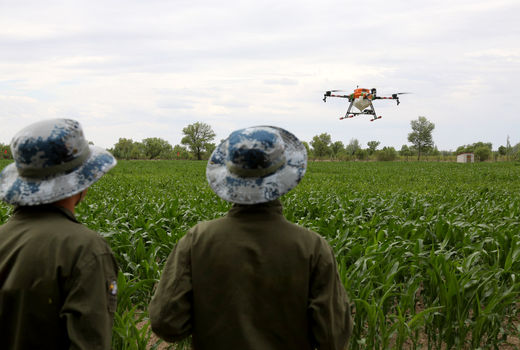 پیشرفت در همکاری‌های کشاورزی ایران و مغولستان 