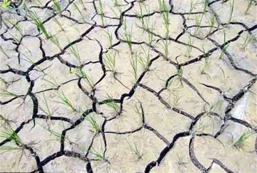 70درصد ایالت مینه‌سوتا به شکل غیر طبیعی خشک است