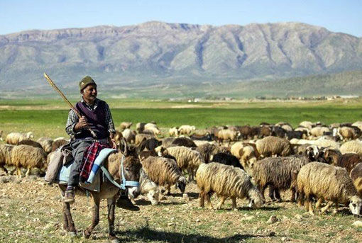 اختصاص ۲۵ میلیارد تومان به طرح های عشایری آذربایجان شرقی