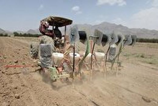 آماده‌سازی حدود ۳۶ هزار هکتار از اراضی برای کشت غلات
