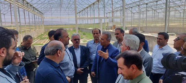 بازدید رییس سازمان جهاد کشاورزی آذربایجانغربی از شهرک کشاورزی مهلذان یک شهرستان خوی