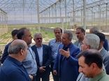 بازدید رییس سازمان جهاد کشاورزی آذربایجانغربی از شهرک کشاورزی مهلذان یک شهرستان خوی