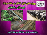 بهره برداری از شانزده طرح آب و خاک و دامپروری شهرستان رفسنجان در هفته دولت 