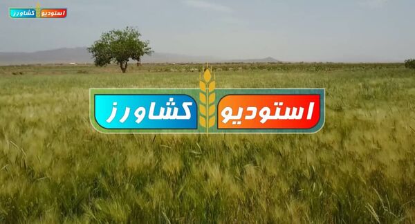 اعلام برنامه‌های جدید و  اینترنتی در دست ساخت و آماده پخش از  استودیو کشاورز 