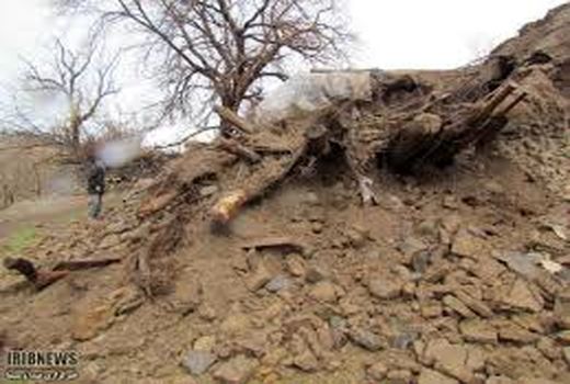 خسارت سیل و بارندگی به بخش کشاورزی شهرستان ارزوئیه