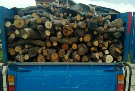 کشف و ضبط ۶۰۰ کیلوگرم چوب جنگلی قاچاق در لردگان