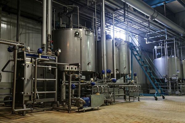 مردم نسبت به تبلیغات منفی زیان مصرف شیر در بیماری کرونا هوشیار باشند