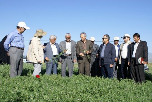 پروژه امنیت غذایی ایران ایکاردا هزینه‌ها را کاهش می‌دهد