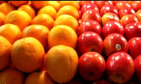 توزیع ۵۶۰ تن سیب و پرتقال تنطیم بازاری در آذربایجان غربی