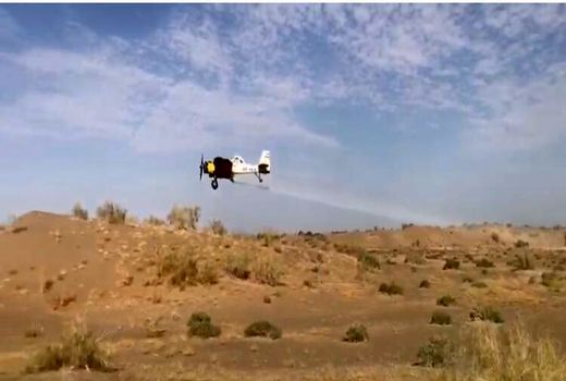 هشدار هجوم ملخ‌ها به سیستان وبلوچستان