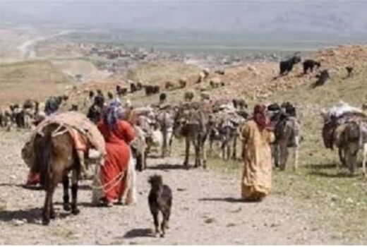 کوچ عشایر ایلام به مناطق قشلاقی آغاز شد