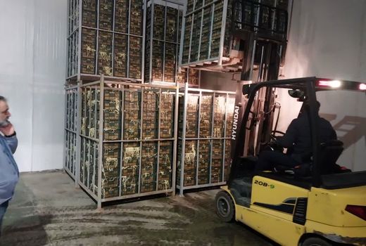 ورود محموله های سیب درختی طرح تنظیم بازار میوه شب عید به خوزستان