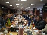  کمیسیون دامپزشکی کشورهای عضو «بریکس» تشکیل می‌شود 
