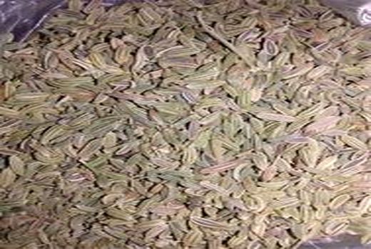 صادرات دو محصول گیاهی دارویی از همدان 