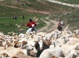 سرمای بهاره کوچ عشایر خراسان شمالی را به تاخیر انداخت