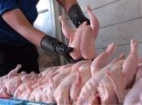 تولید سالیانه نزدیک به 14 هزار تن گوشت مرغ در شهرستان اردبیل